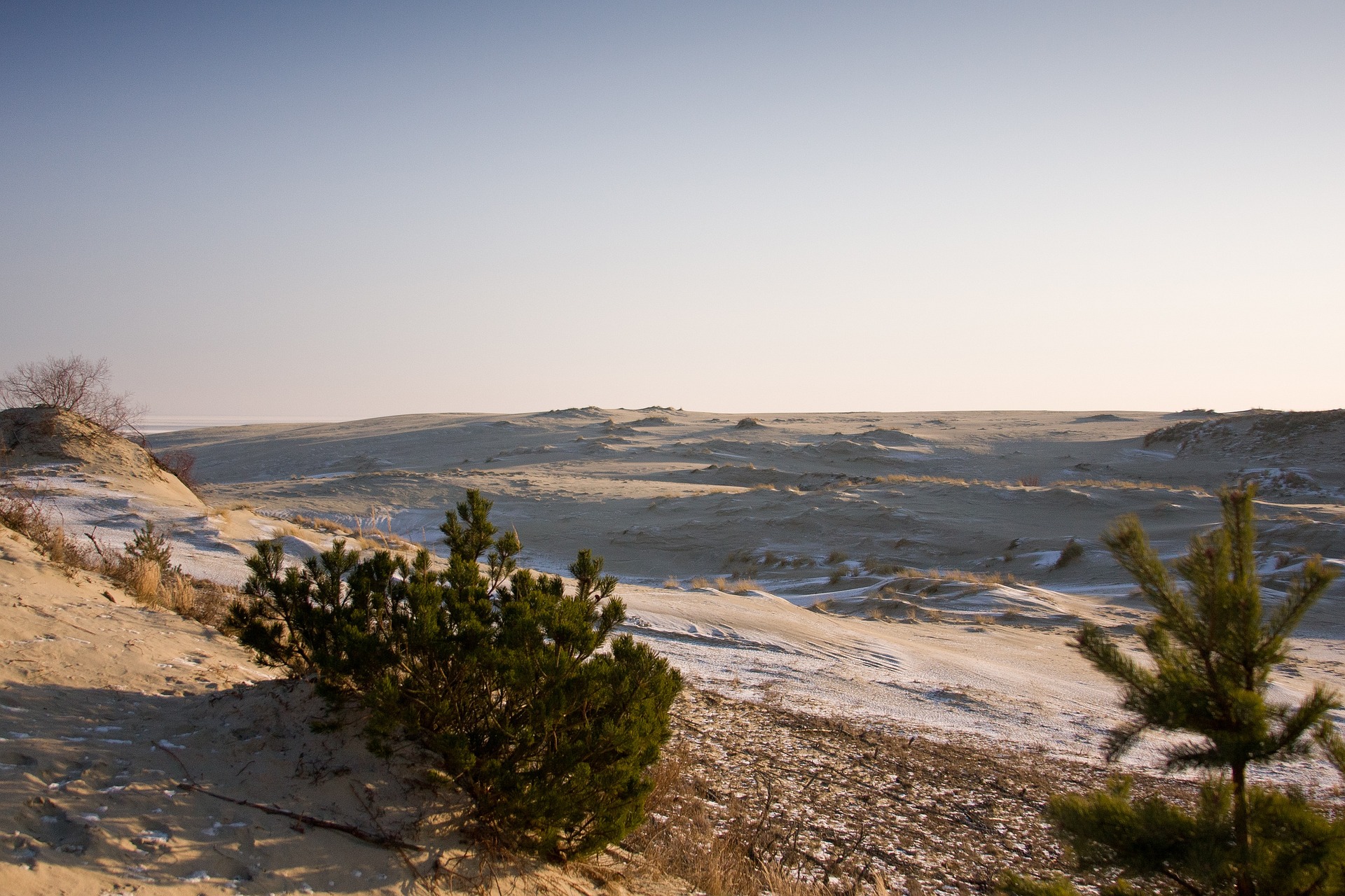 curonian spit 5025531_1920